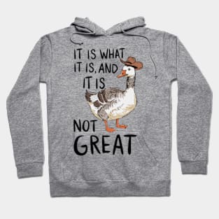 It Is What It Is And Its Not Great Goose Hoodie